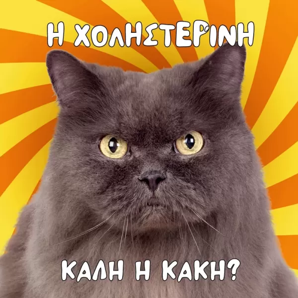 χοληστερολη συμπτωματα